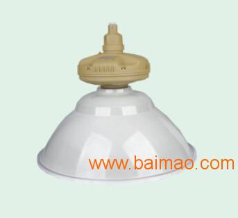 SBF6110免维护节能防水防尘防腐工厂灯