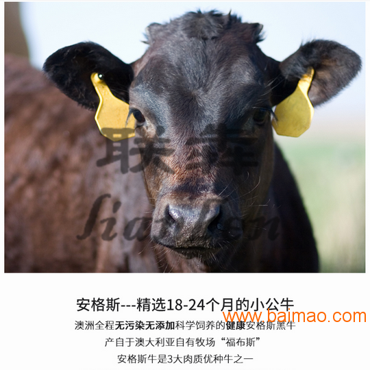 上海联犇牛排菲力牛排180g厂家直销