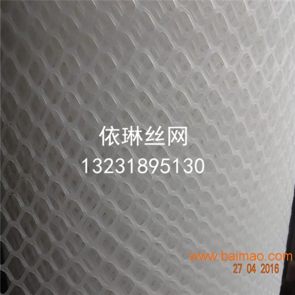 浙江2米高白色纯料塑料养殖网厂家/塑料育雏网价格
