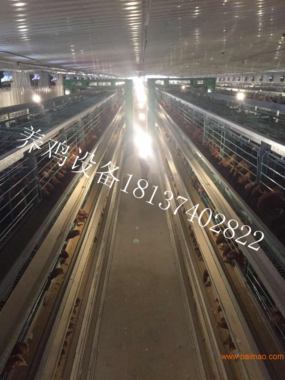 蛋鸡笼｜养殖设备|**自动养鸡设备