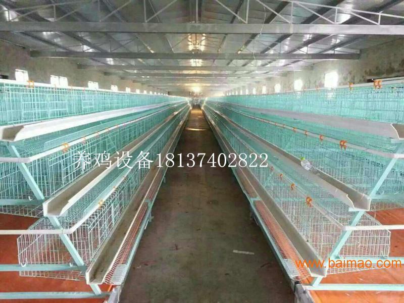 蛋鸡笼｜养殖设备|**自动养鸡设备