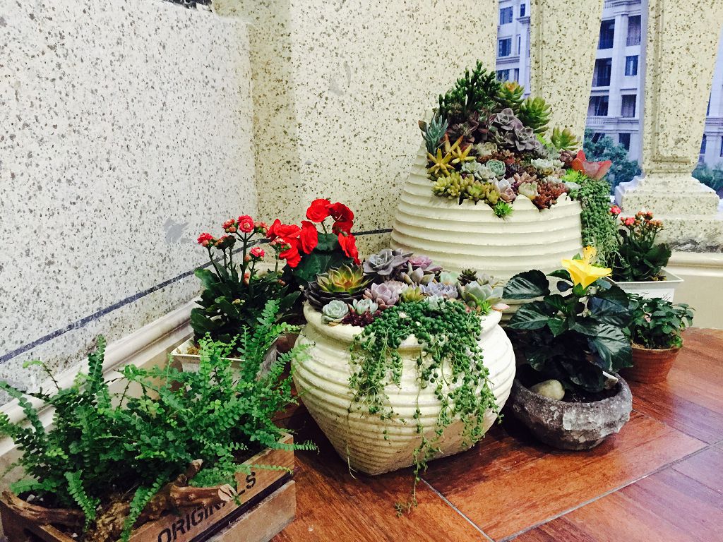浙江温州家庭庭院室内创意绿化，小区家庭花园设计美化