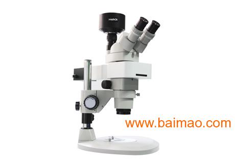 体视荧光显微镜BFZ80