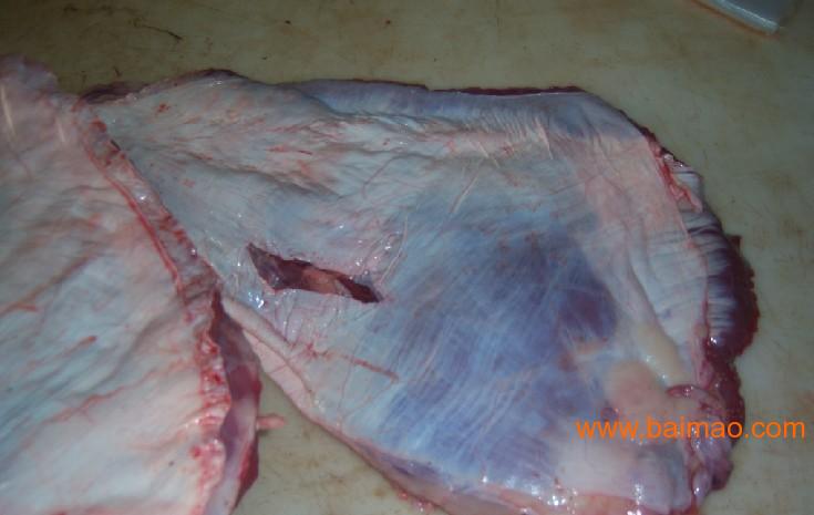 青岛冻货产品批发新西兰130羊蝎子,乌拉圭羊腩皮