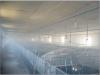养殖场喷雾加湿、降温设备