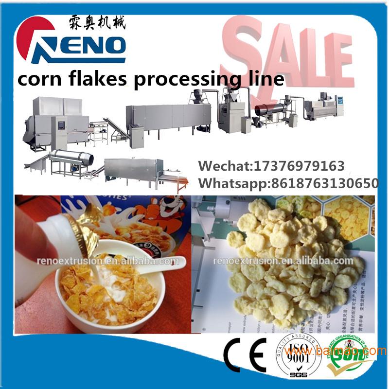 玉米片设备生产线价格