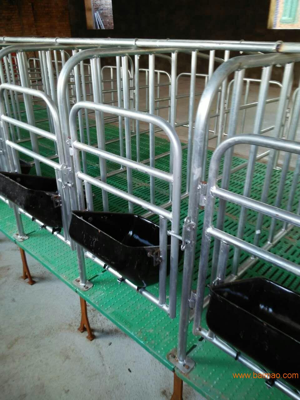 大型猪场安装定位栏带复合板河北厂家**
