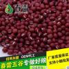东旭粮油调味品有限公司-知名的红小豆批发商 红小豆直销