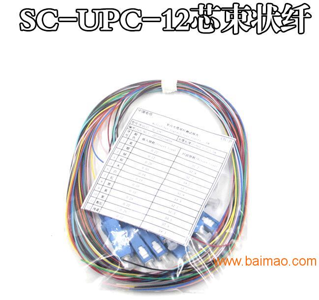 电信级12芯彩色束状SC光纤尾纤 ODF 12芯