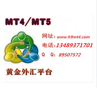 黑龙江MT4平台出租