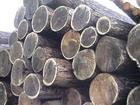 “温州原木木材如何进口清关”“温州进口商检报关”