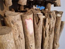 “湖州原木木材如何进口清关”“湖州进口商检报关”