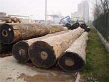 “衢州原木木材如何进口清关”“衢州进口商检报关”