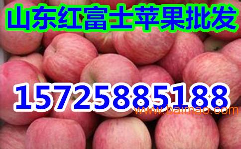 山东苹果产地**红富士苹果市场批发价格