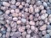 合肥陶粒价格,合肥陶粒零售批发1585541959