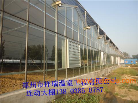 蔬菜大棚建设/智能温室建造拱棚设计安-郑州祥瑞温室