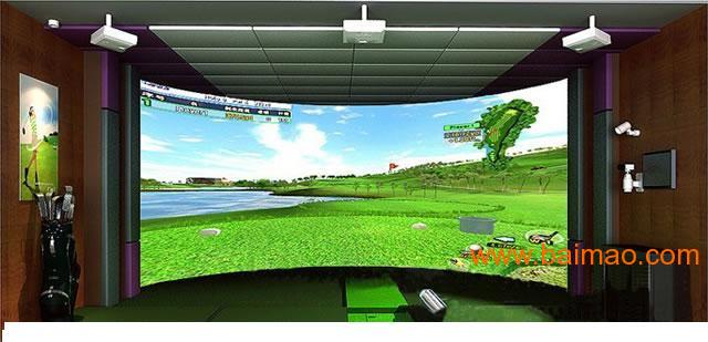 韩国进口室内迷你高尔夫 高尔夫室内模拟器