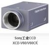 供应原装进口索尼XCD-V60/V60CR工业相机