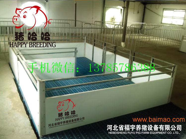 小猪保育床不锈钢双面食槽养猪设备生产厂家