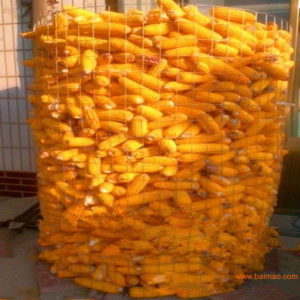 圈玉米网、玉米网厂家、玉米网价格、圈玉米用的网子