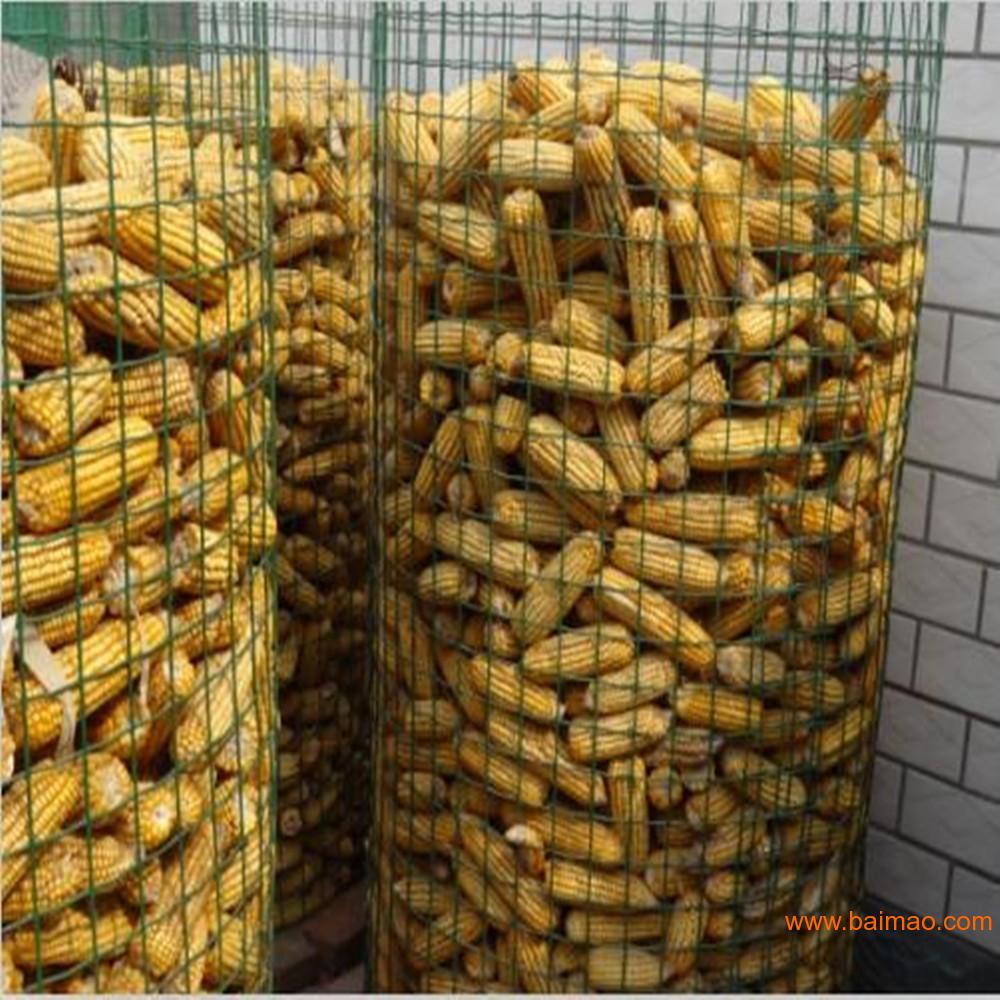 镀锌玉米网、浸塑玉米网、圆度丝玉米网、冷度玉米网、
