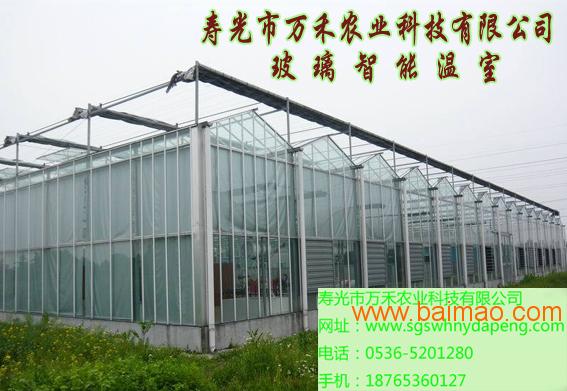 玻璃智能温室-寿光市万禾农业科技有限公司