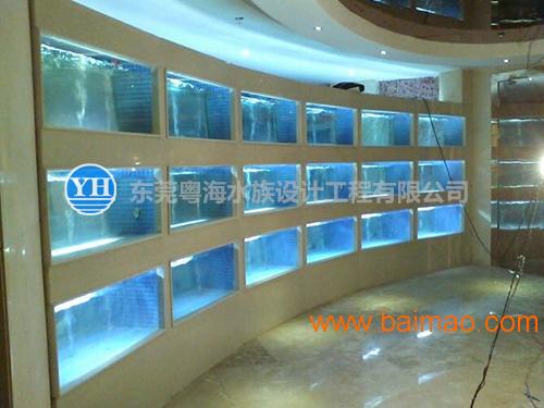 东莞金鈺海鲜池鱼缸设计制作工程