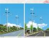 四川6米LED太阳能路灯/四川7米风光互补太阳能路