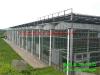 V96型玻璃温室 玻璃温室餐厅 设计温室结构