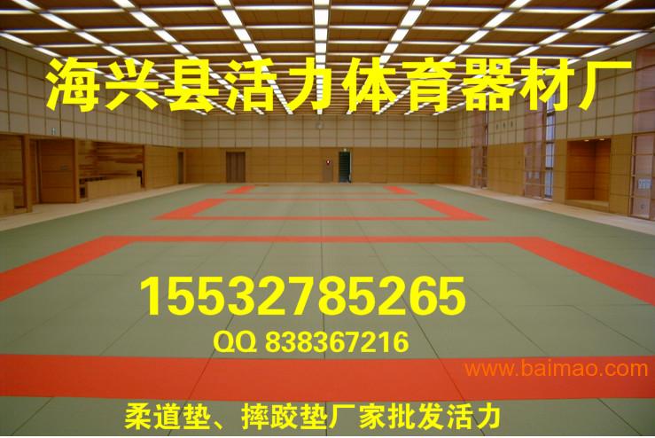 海兴县活力体育器材厂国内**标准规格柔道垫制作中心