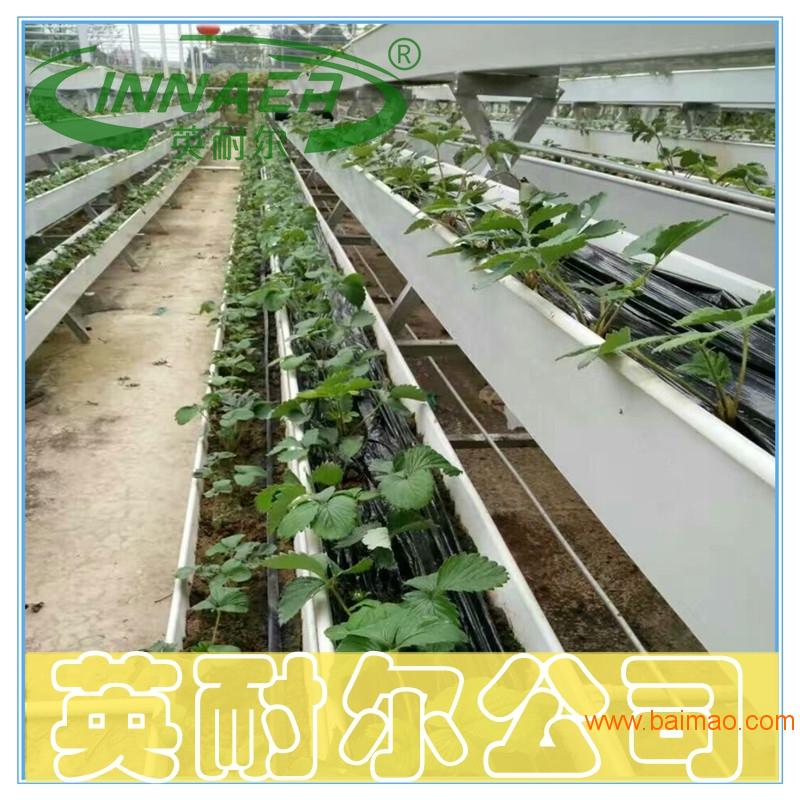 无土基质栽培槽 草莓A字架种植槽 英耐尔制造