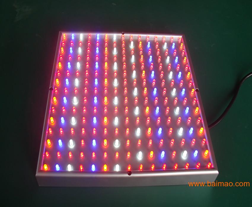 LED植物生长灯  方形 14W